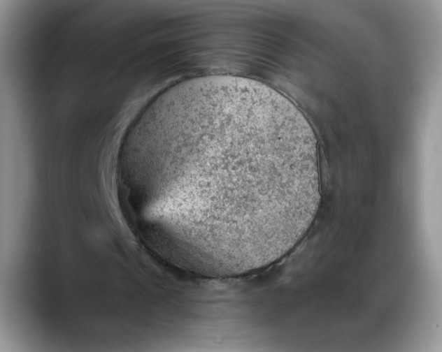 X0000088160241200705291917