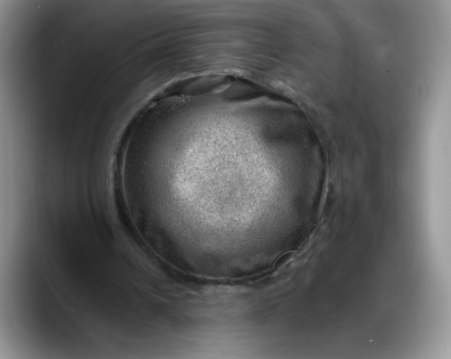X0000088160242200705291917