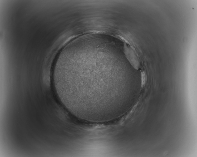 X0000088160243200705291917