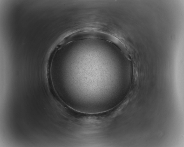 X0000088160244200705291917