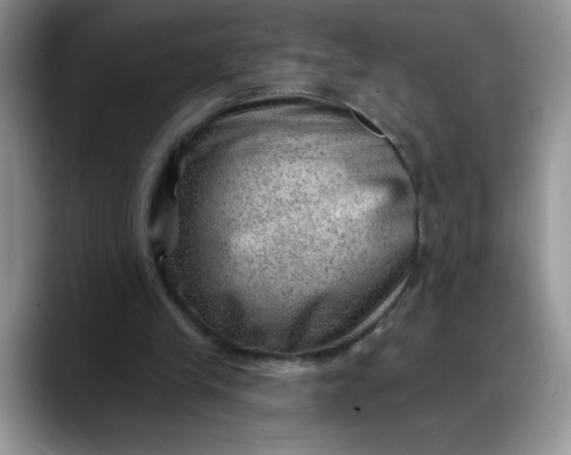 X0000088160245200705291917