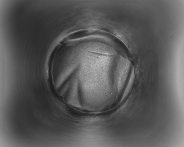 X0000088160246200705291917