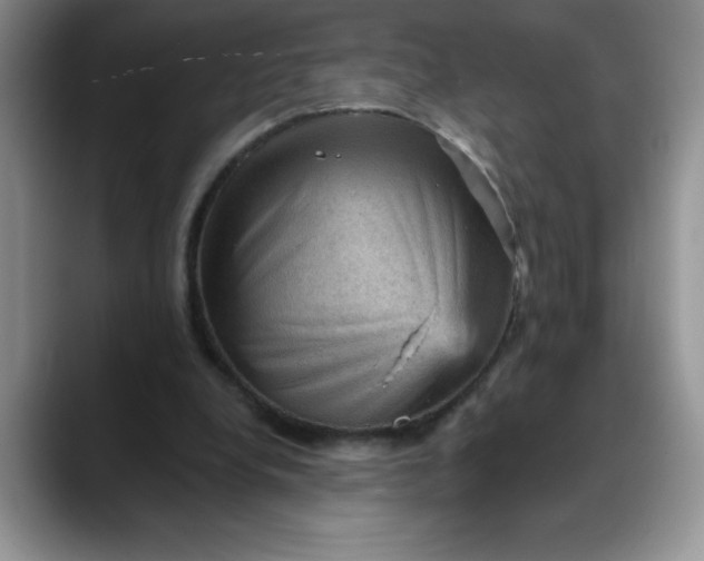 X0000088160248200705291917
