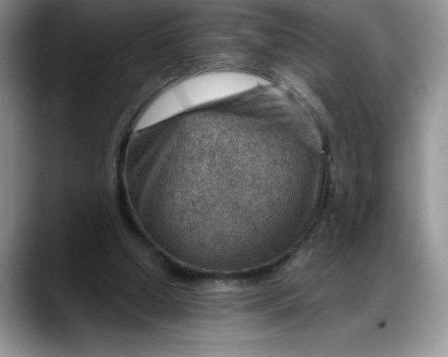 X0000088160250200705291917