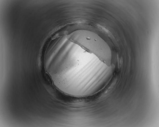 X0000088160252200705291917
