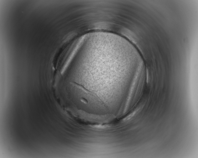 X0000088160253200705291917