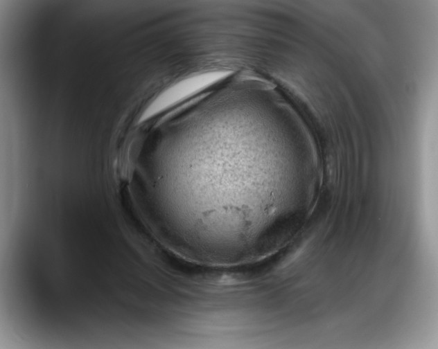 X0000088160254200705291917