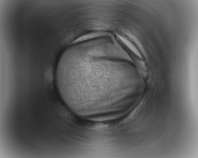 X0000088160257200705291917