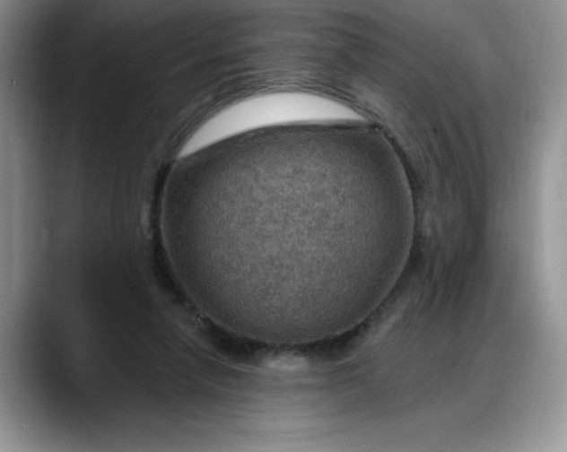 X0000088160258200705291917