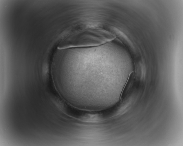 X0000088160260200705291917