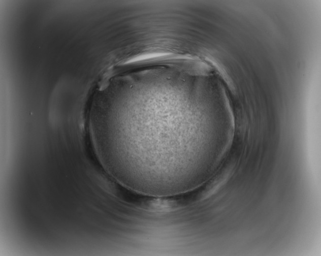 X0000088160261200705291917