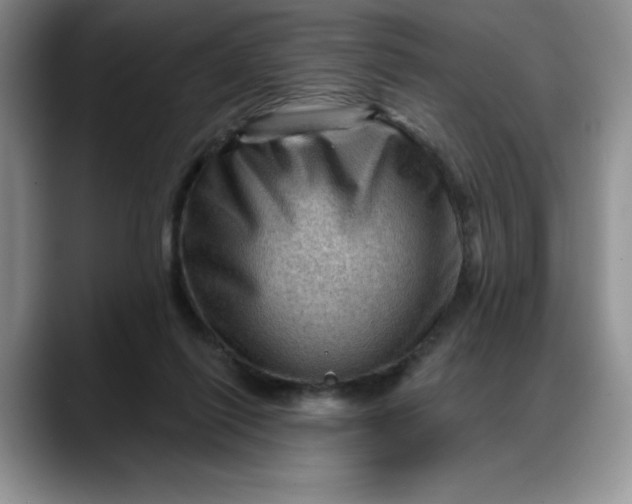 X0000088160262200705291917