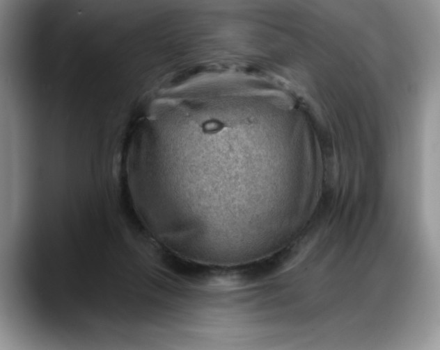 X0000088160263200705291917