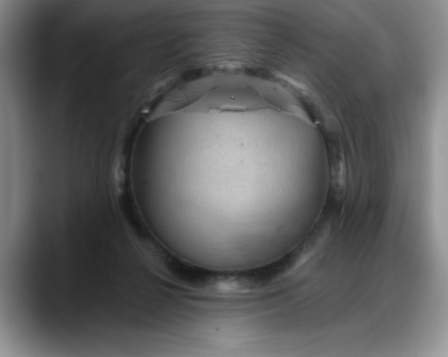 X0000088160264200705291917
