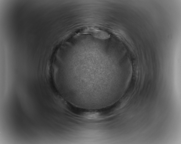 X0000088160266200705291917