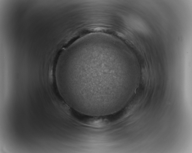 X0000088160267200705291917