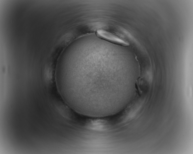 X0000088160268200705291917