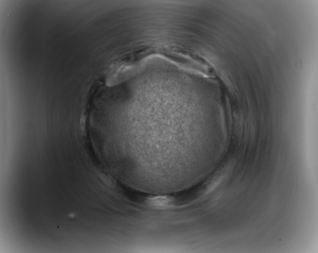 X0000088160269200705291917
