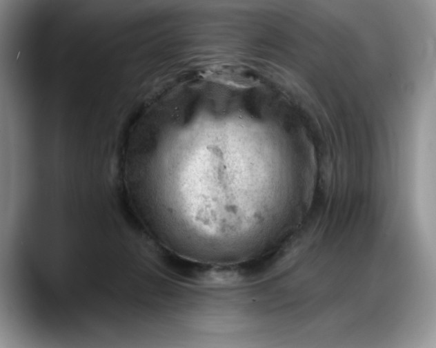 X0000088160270200705291917