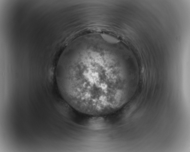 X0000088160271200705291917
