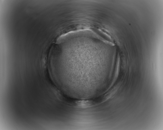 X0000088160273200705291918