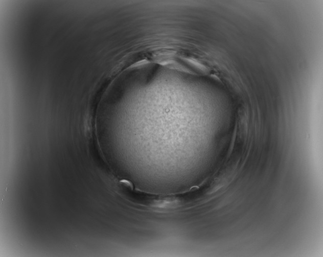 X0000088160274200705291918