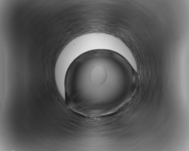 X0000088160276200705291918