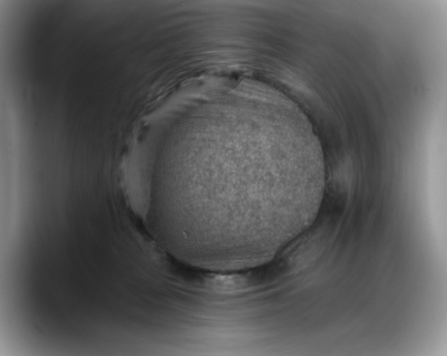 X0000088160277200705291918