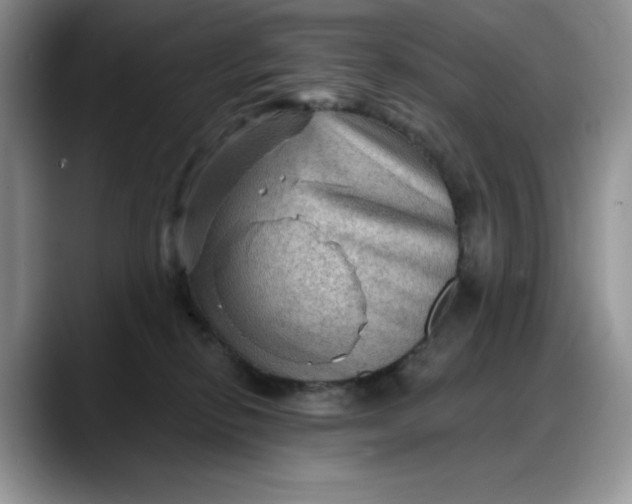 X0000088160278200705291918
