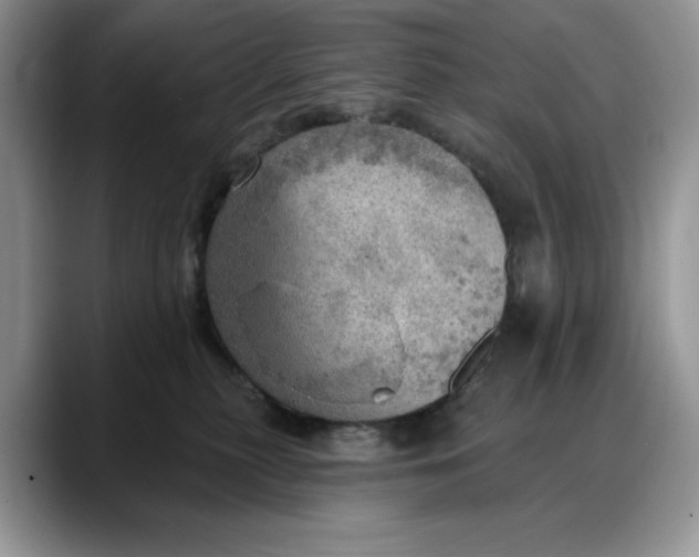 X0000088160279200705291918