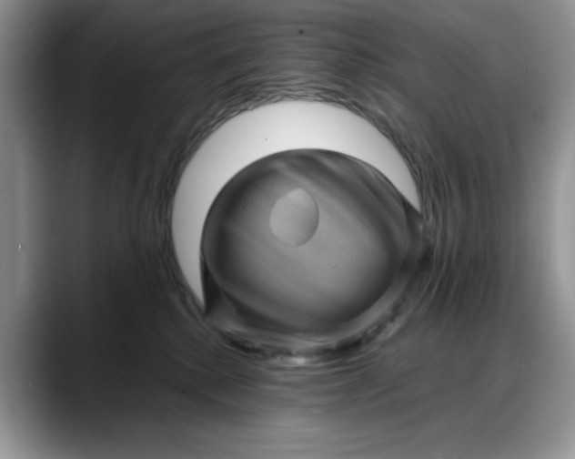 X0000088160280200705291918