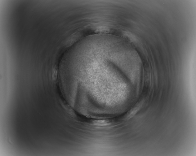 X0000088160281200705291918