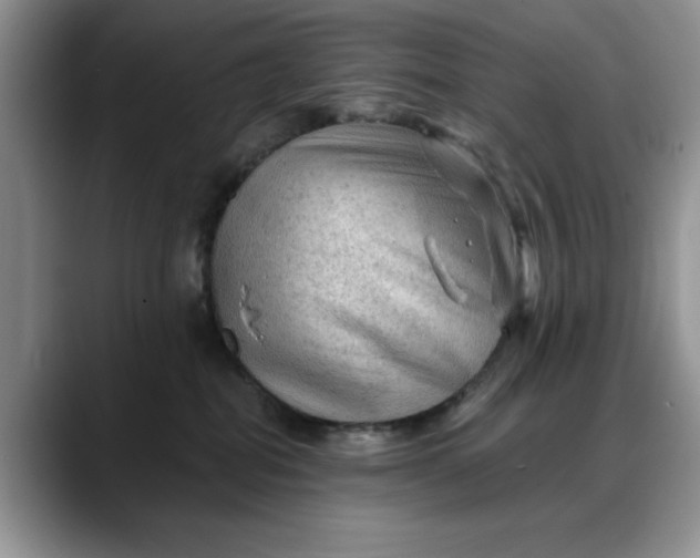 X0000088160282200705291918
