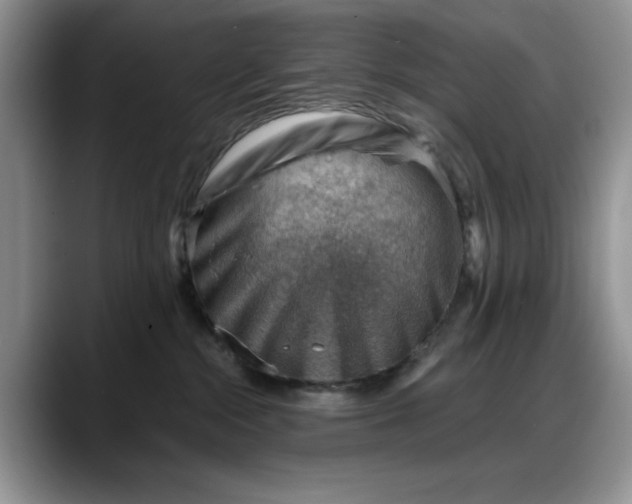 X0000088160284200705291918