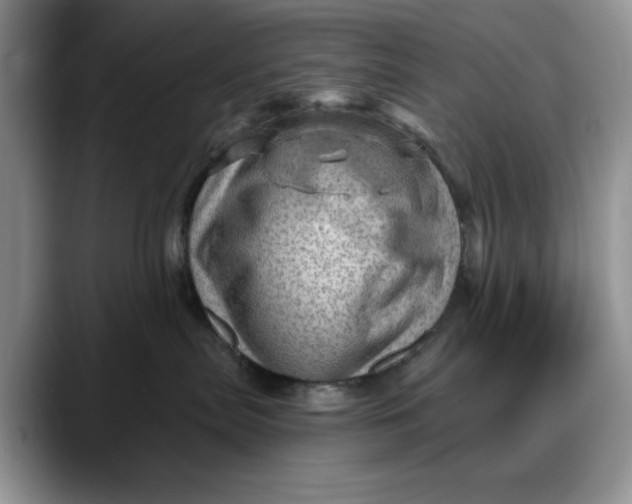 X0000088160287200705291918