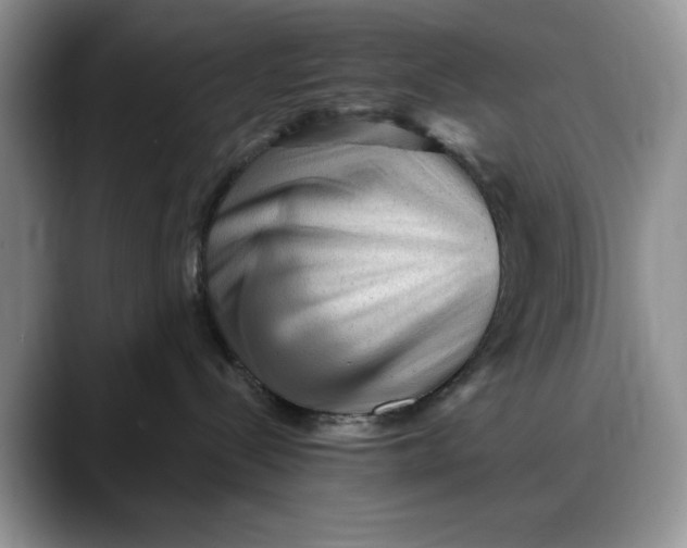 X0000088160288200705291918