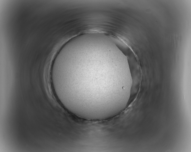 X0000088160289200705291917