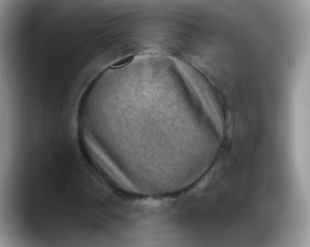 X0000088160290200705291917