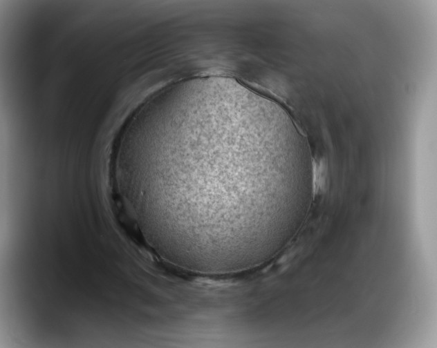 X0000088160291200705291917
