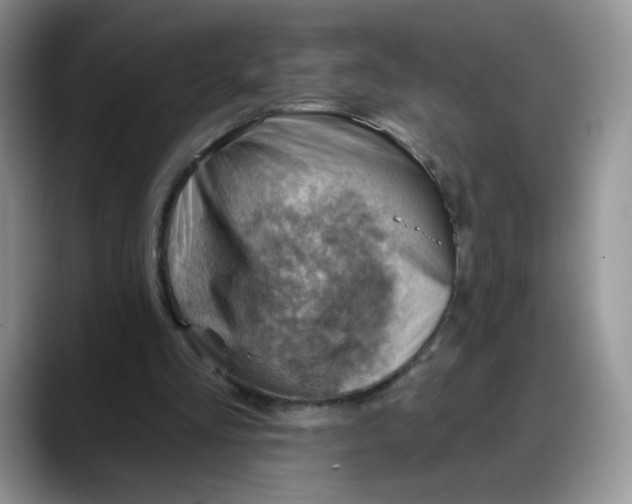 X0000088160293200705291917