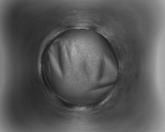 X0000088160294200705291917