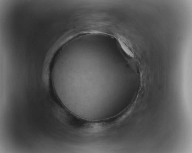 X0000088160295200705291917