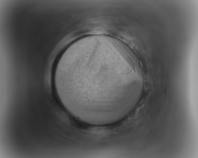X0000088160296200705291917