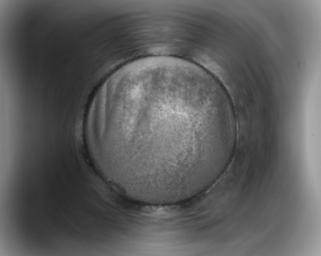 X0000088160297200705291917