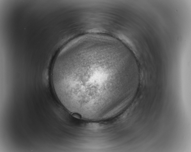 X0000088160298200705291917