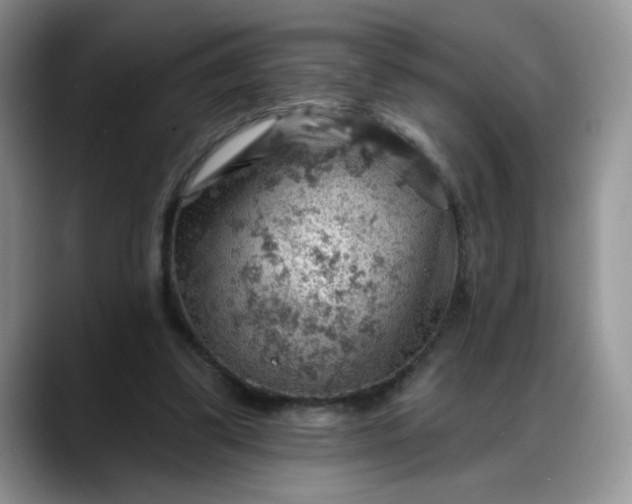 X0000088160299200705291917