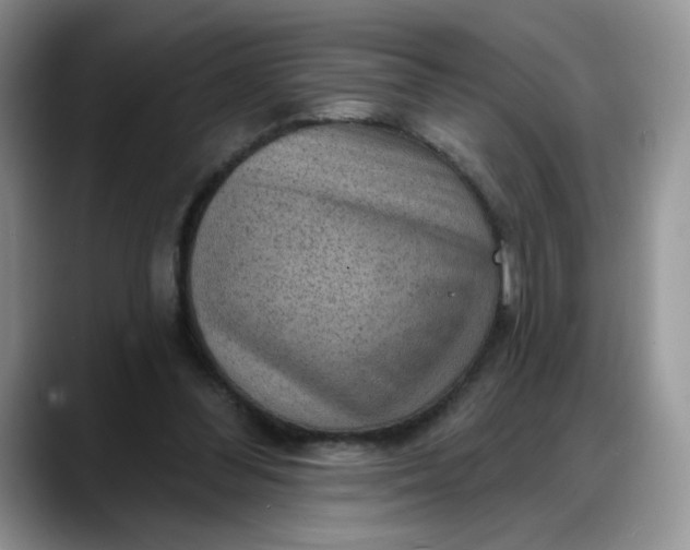 X0000088160300200705291917