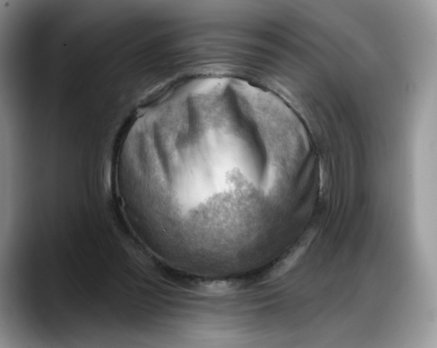 X0000088160301200705291917