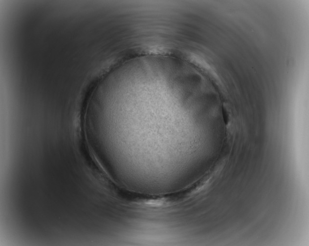 X0000088160306200705291917
