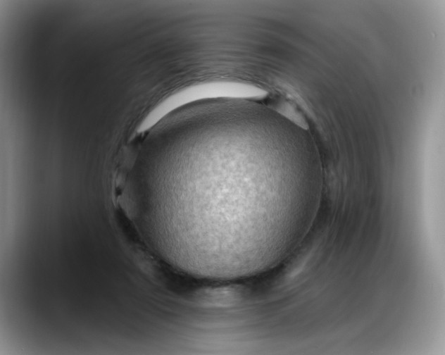 X0000088160307200705291917